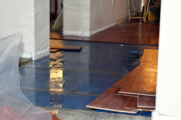 Professional Emergency Water Damage Restoration technician working in Roseland, OH